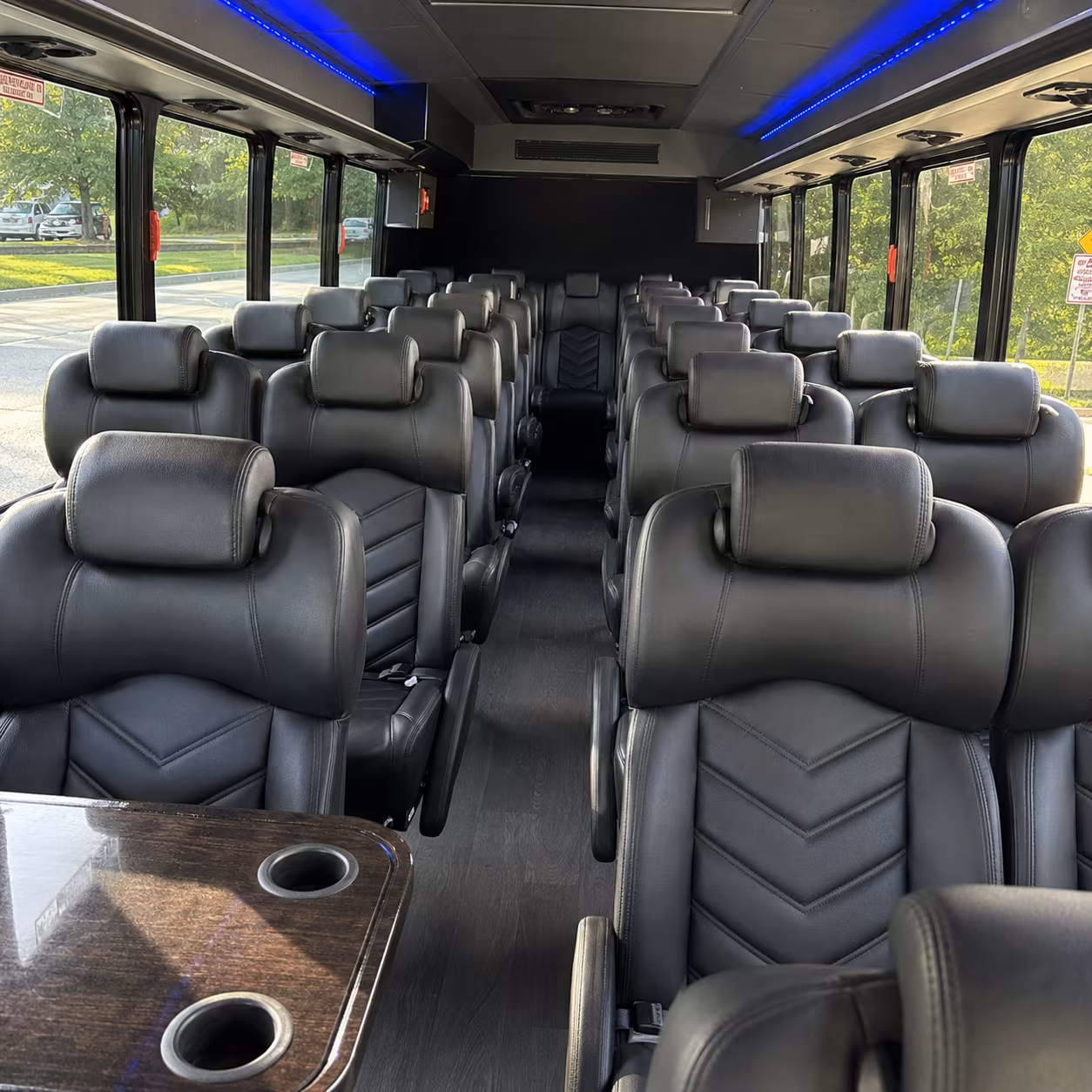 folsom birthday party transportation