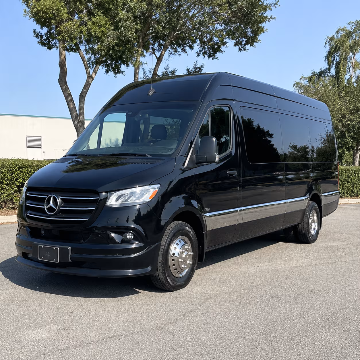 sprinter van rentals for small bachelorette groups in folsom